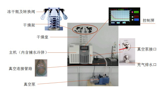 实验室冻干机